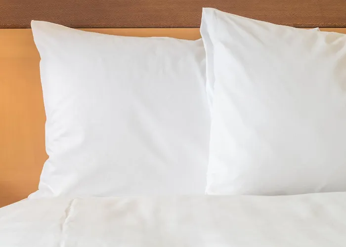 Express & - By Ihg Hotel 3*